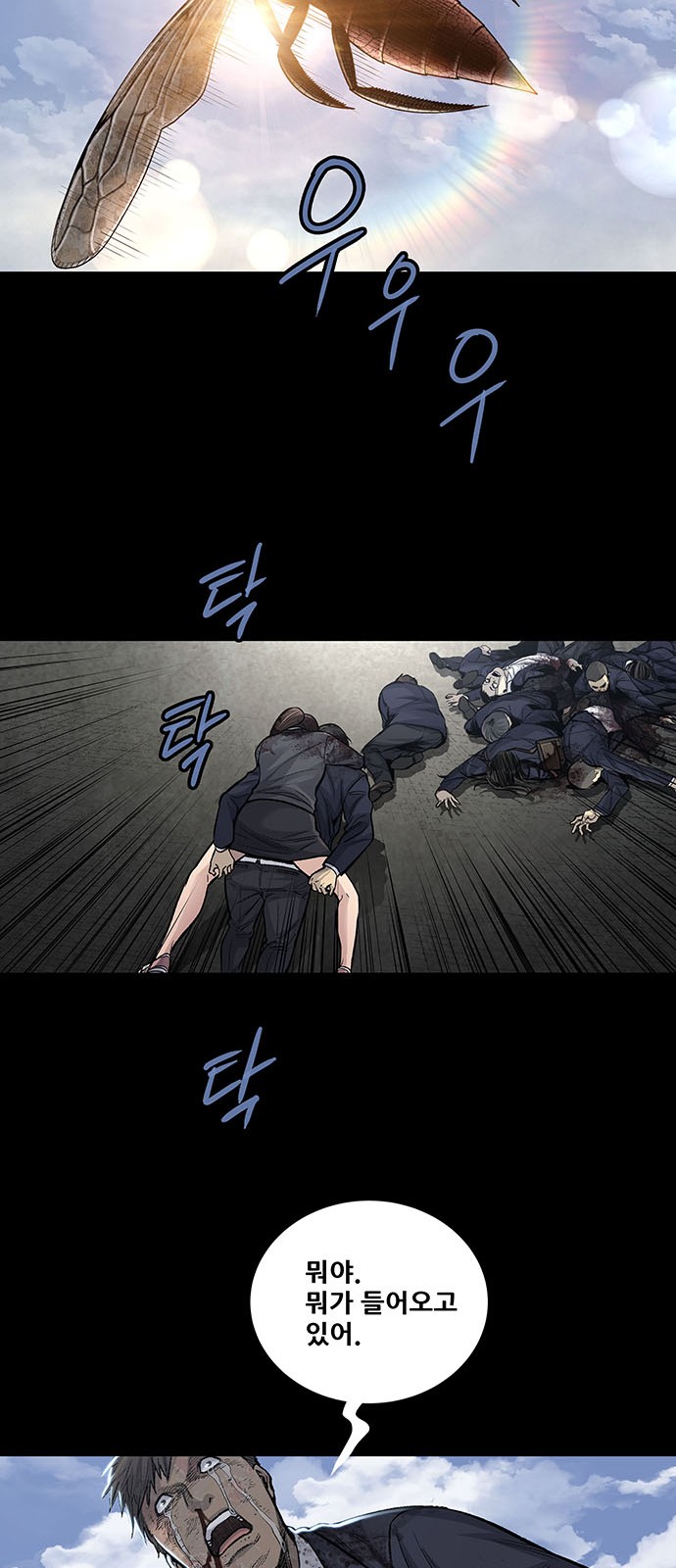 30 페이지