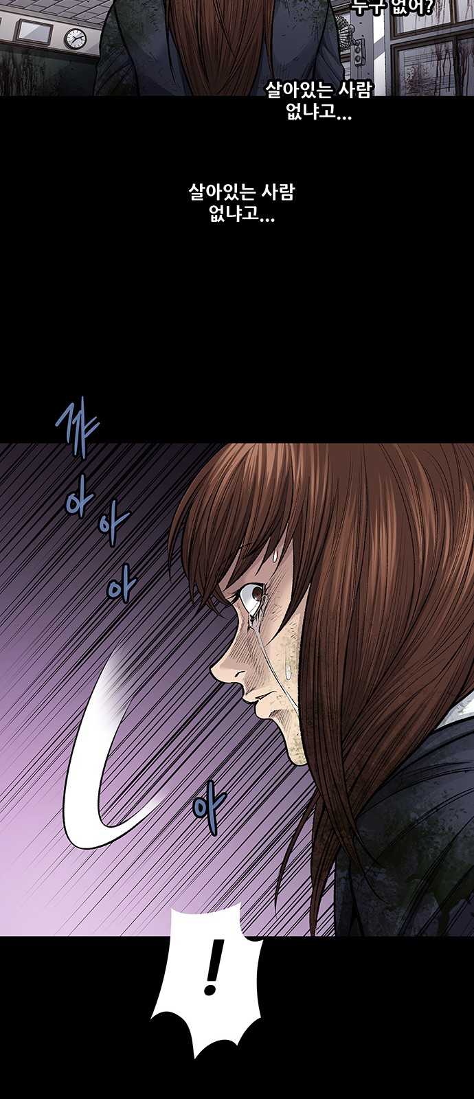 46 페이지
