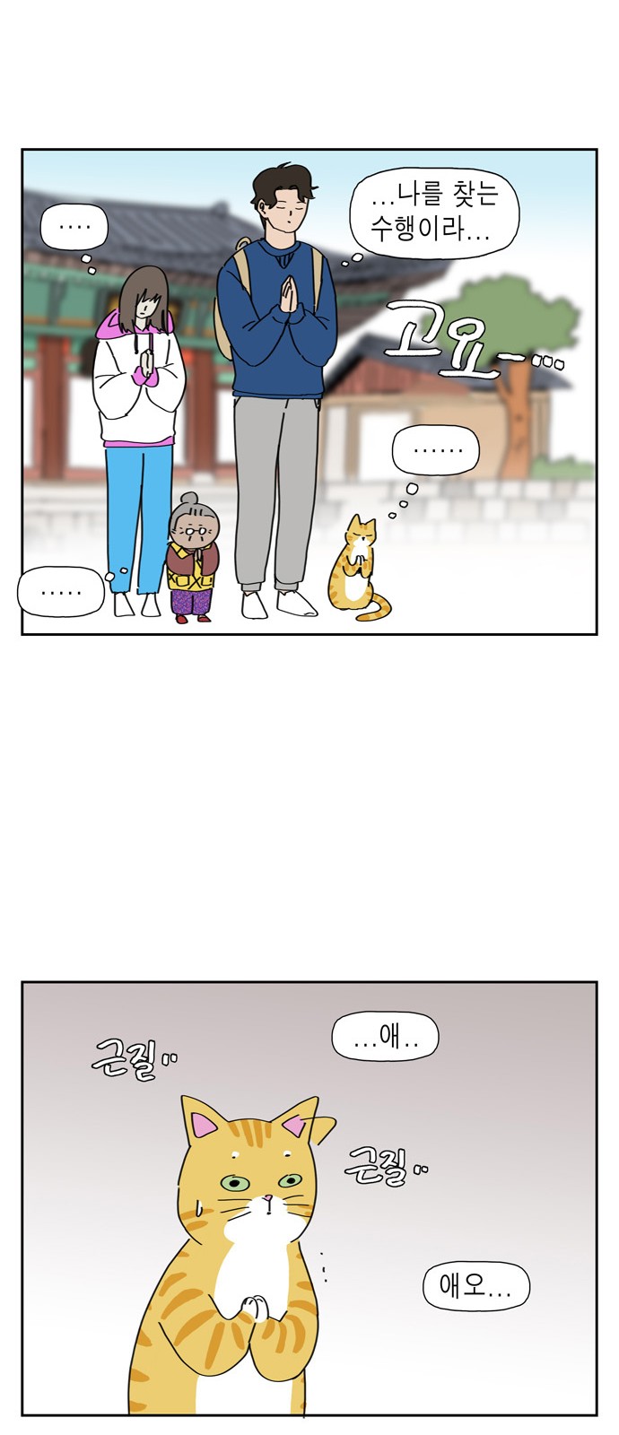 19 페이지