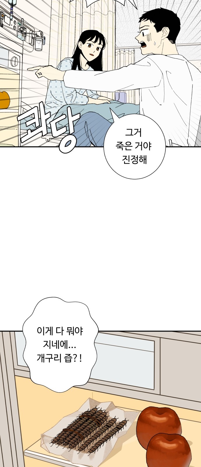 51 페이지