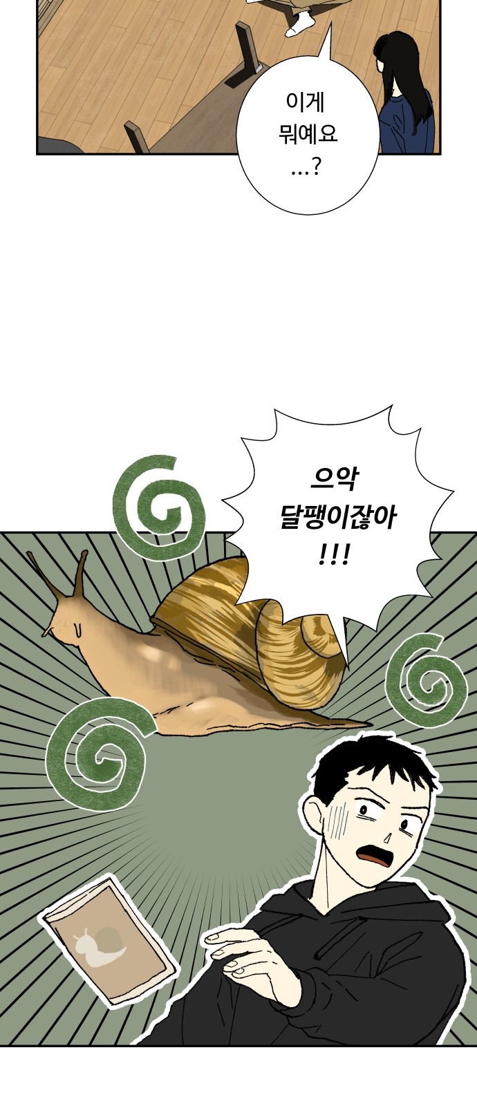 27 페이지