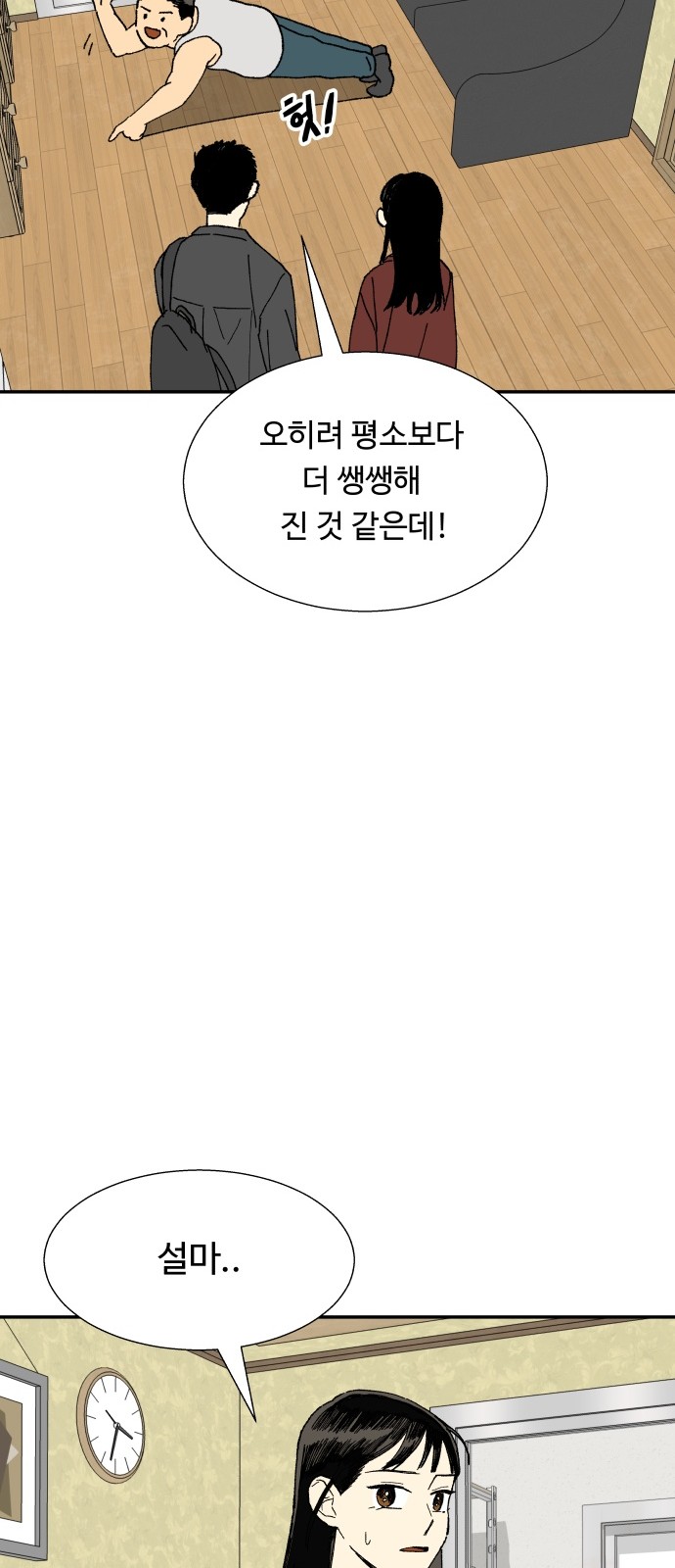 66 페이지