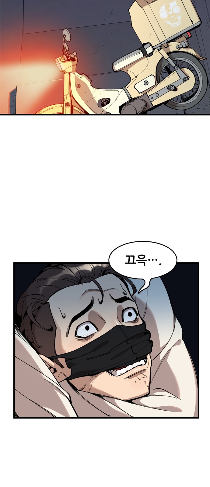 66 페이지