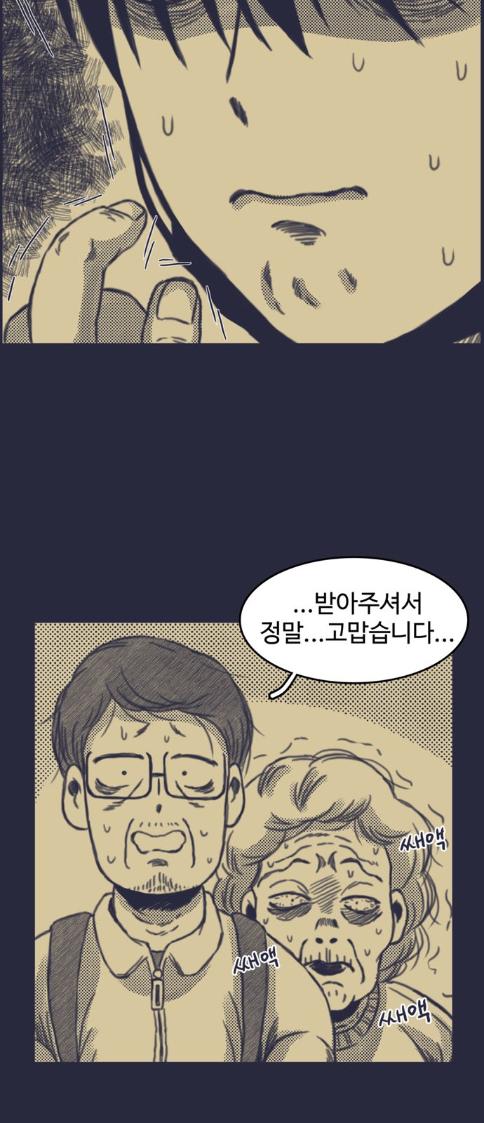 43 페이지