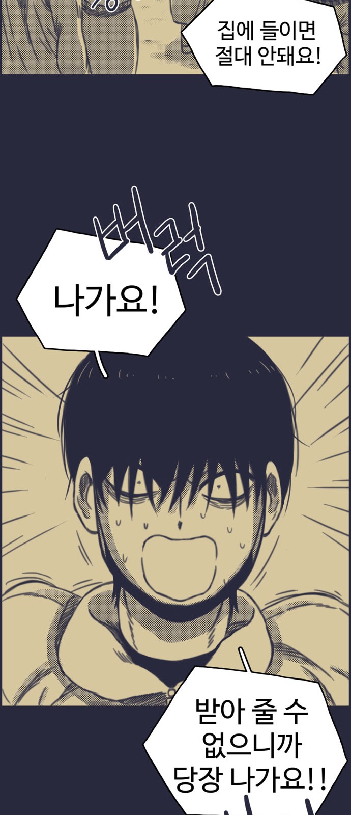 46 페이지