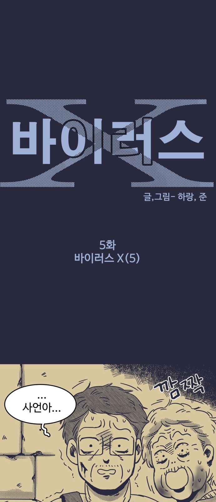 5 페이지