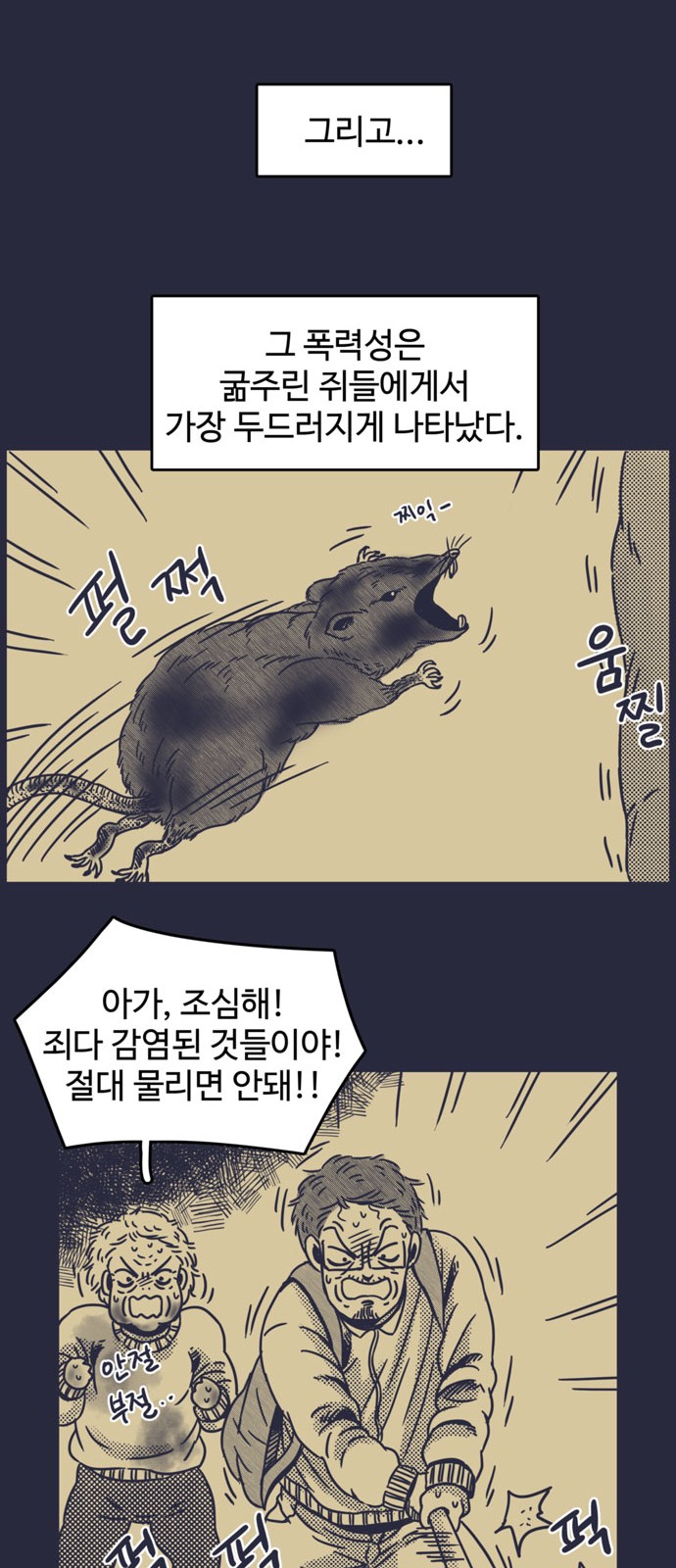14 페이지