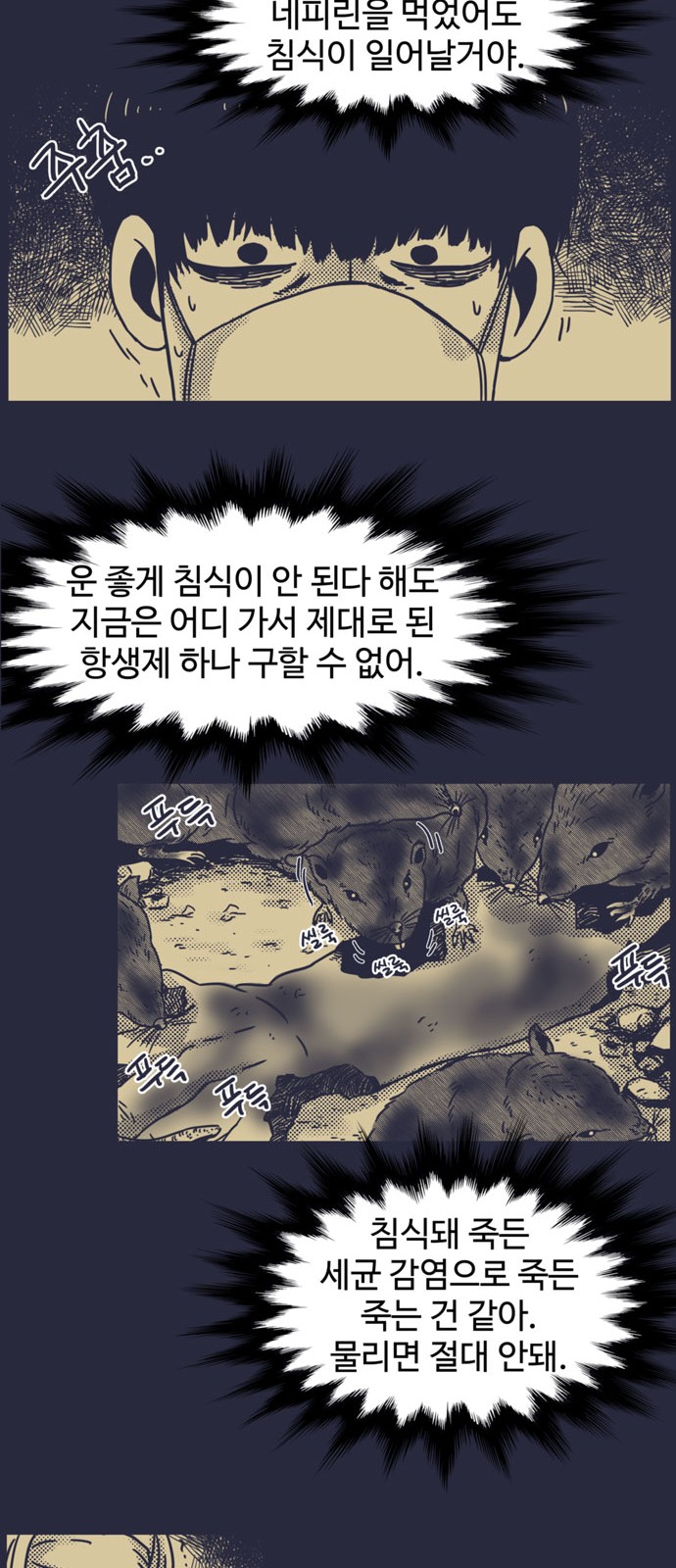 19 페이지