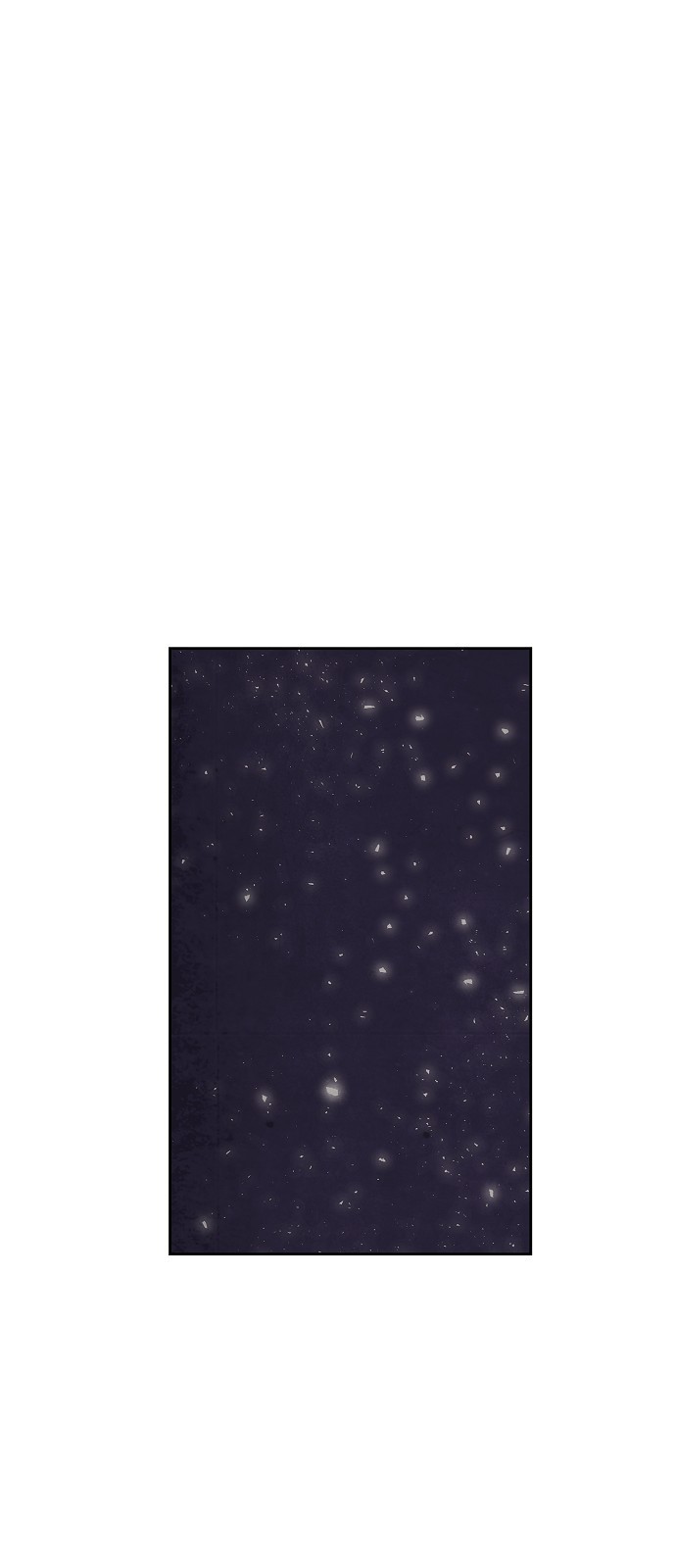 147 페이지