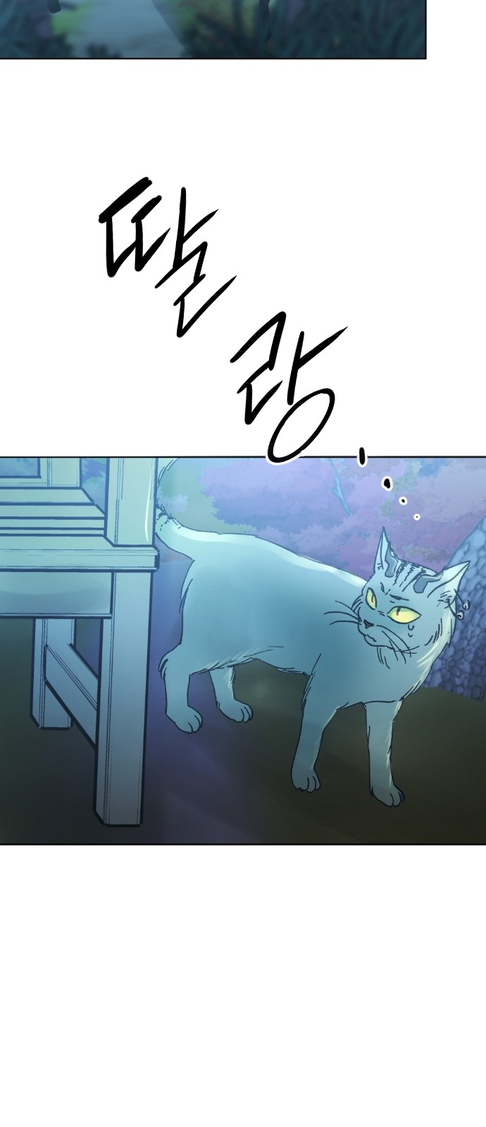 146 페이지