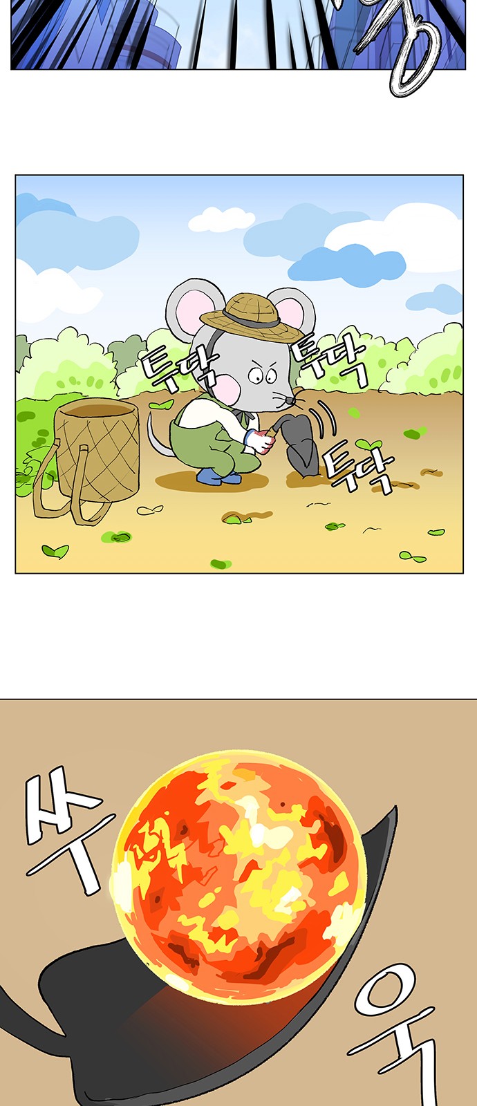 13 페이지