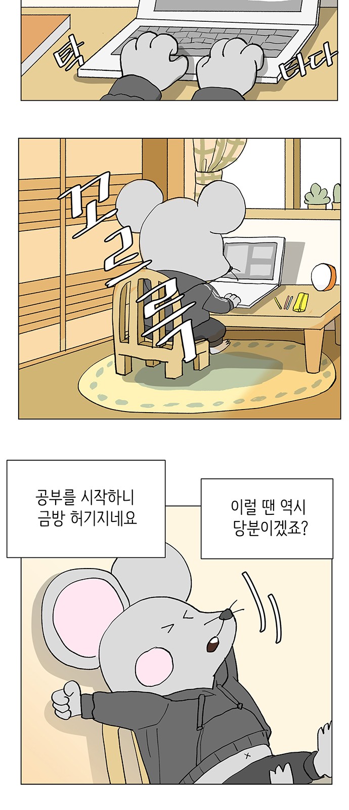 19 페이지