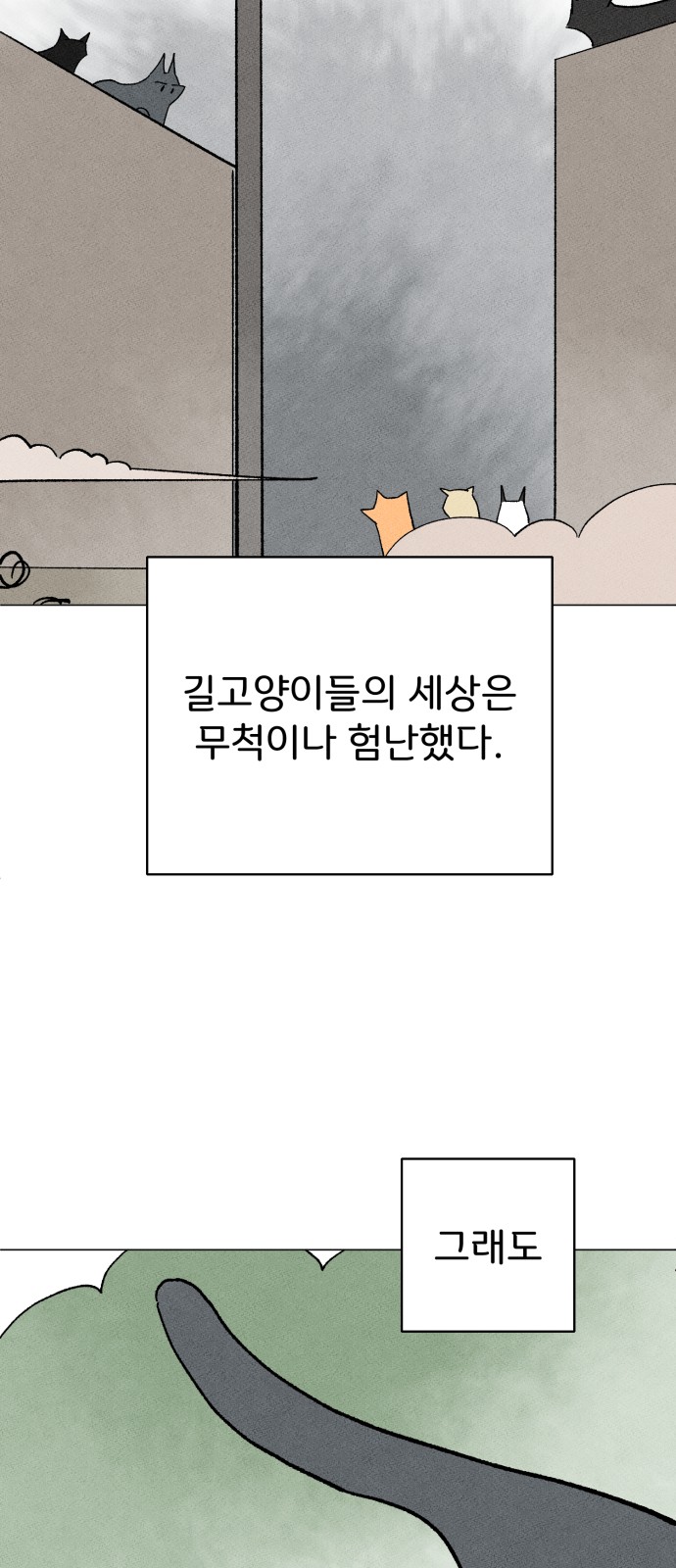 83 페이지
