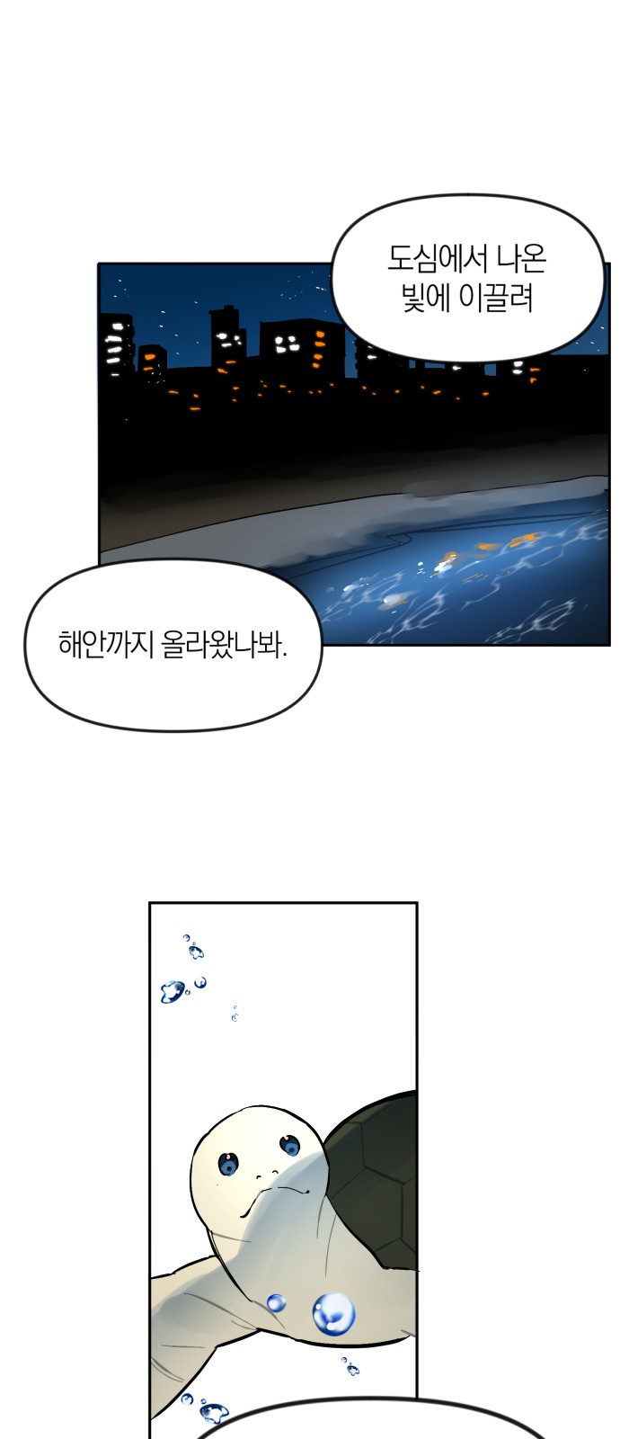 29 페이지