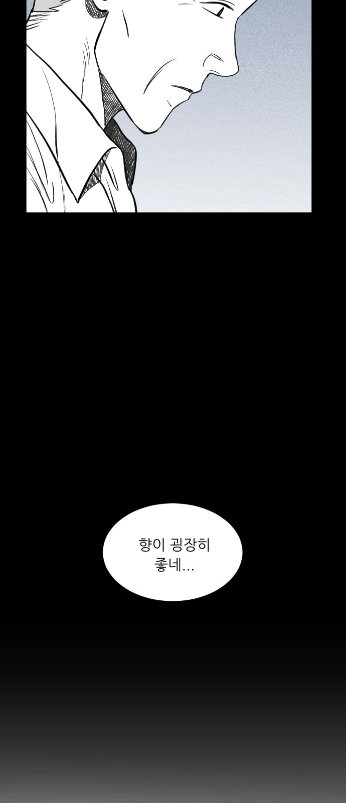 231 페이지