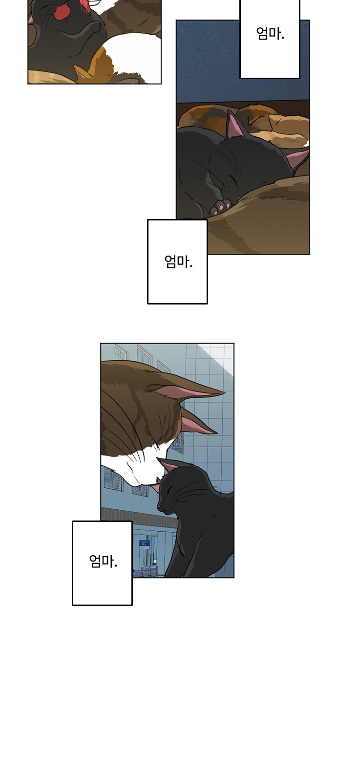 11 페이지