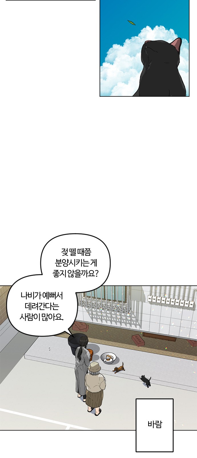 15 페이지