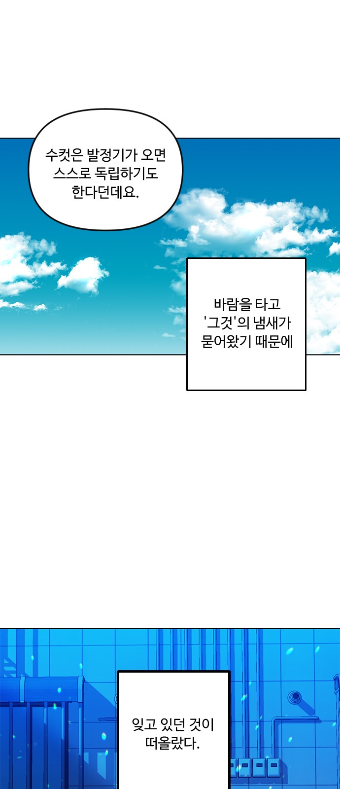 16 페이지