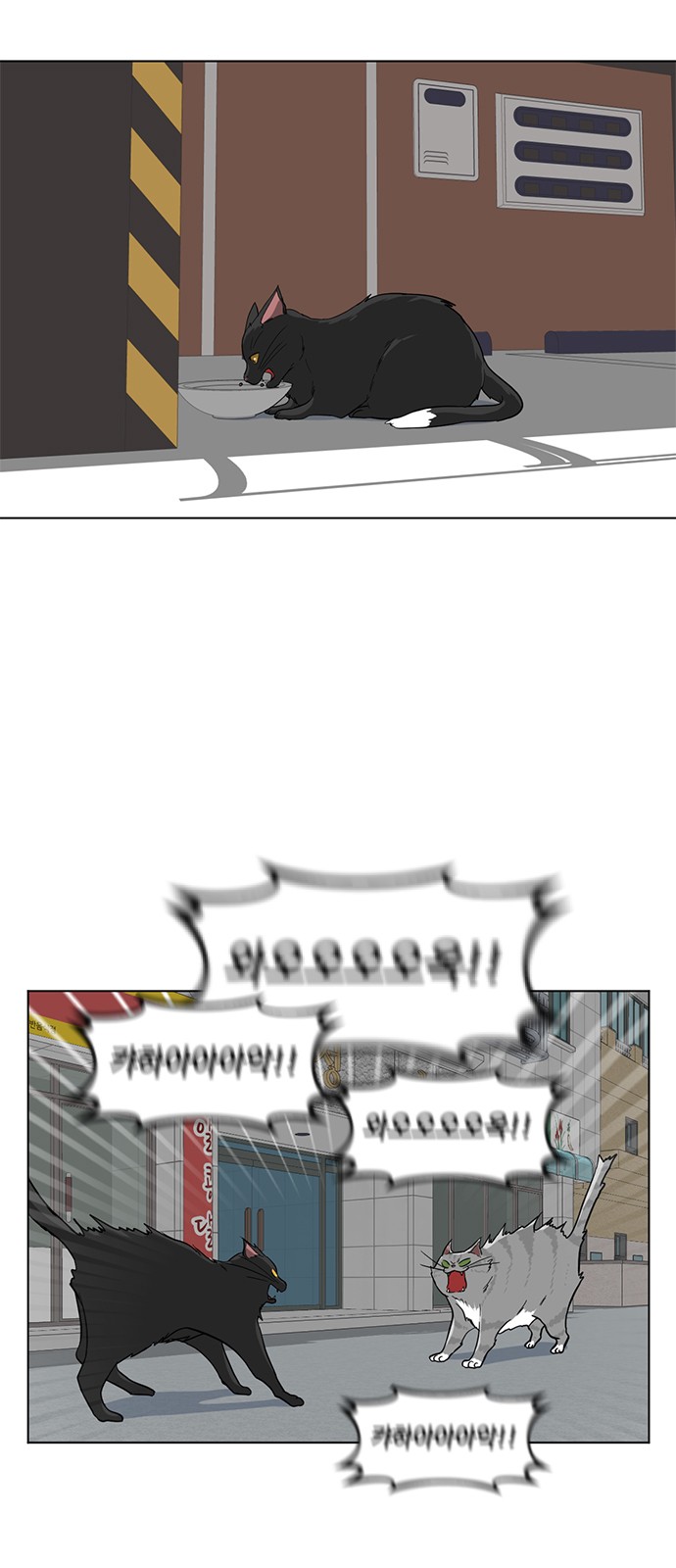 21 페이지