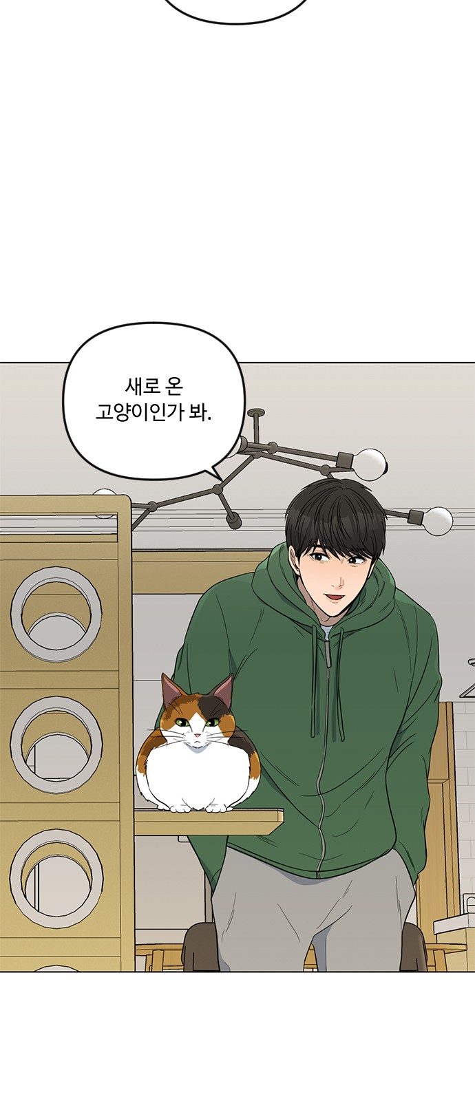 40 페이지