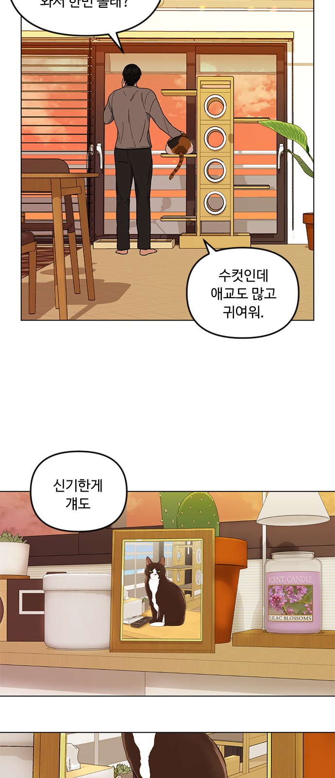 48 페이지