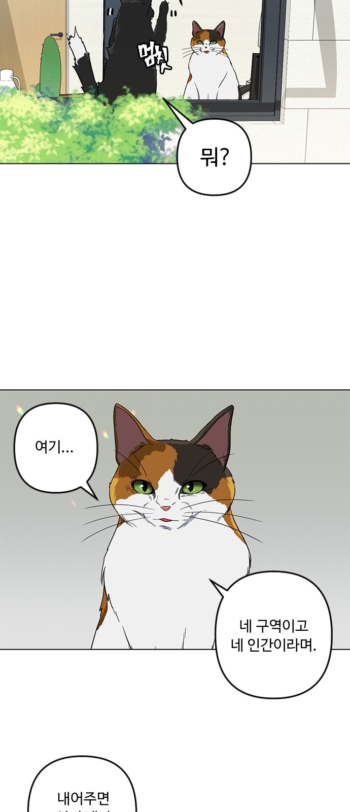 74 페이지