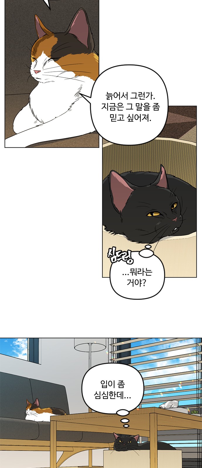 85 페이지