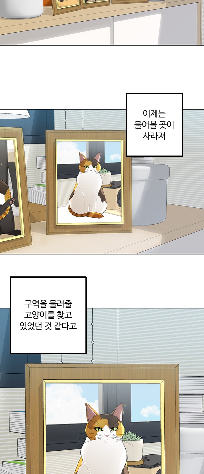 87 페이지