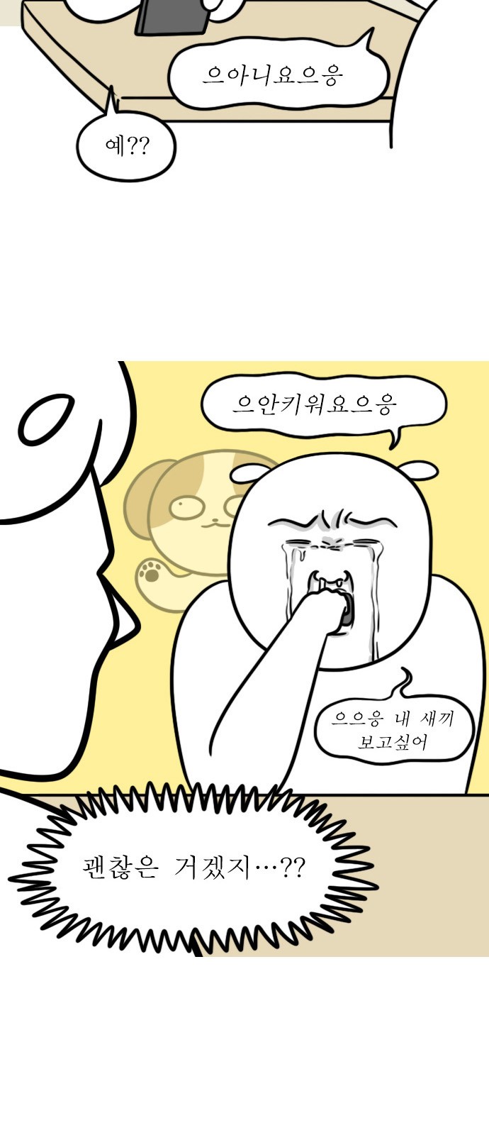 17 페이지