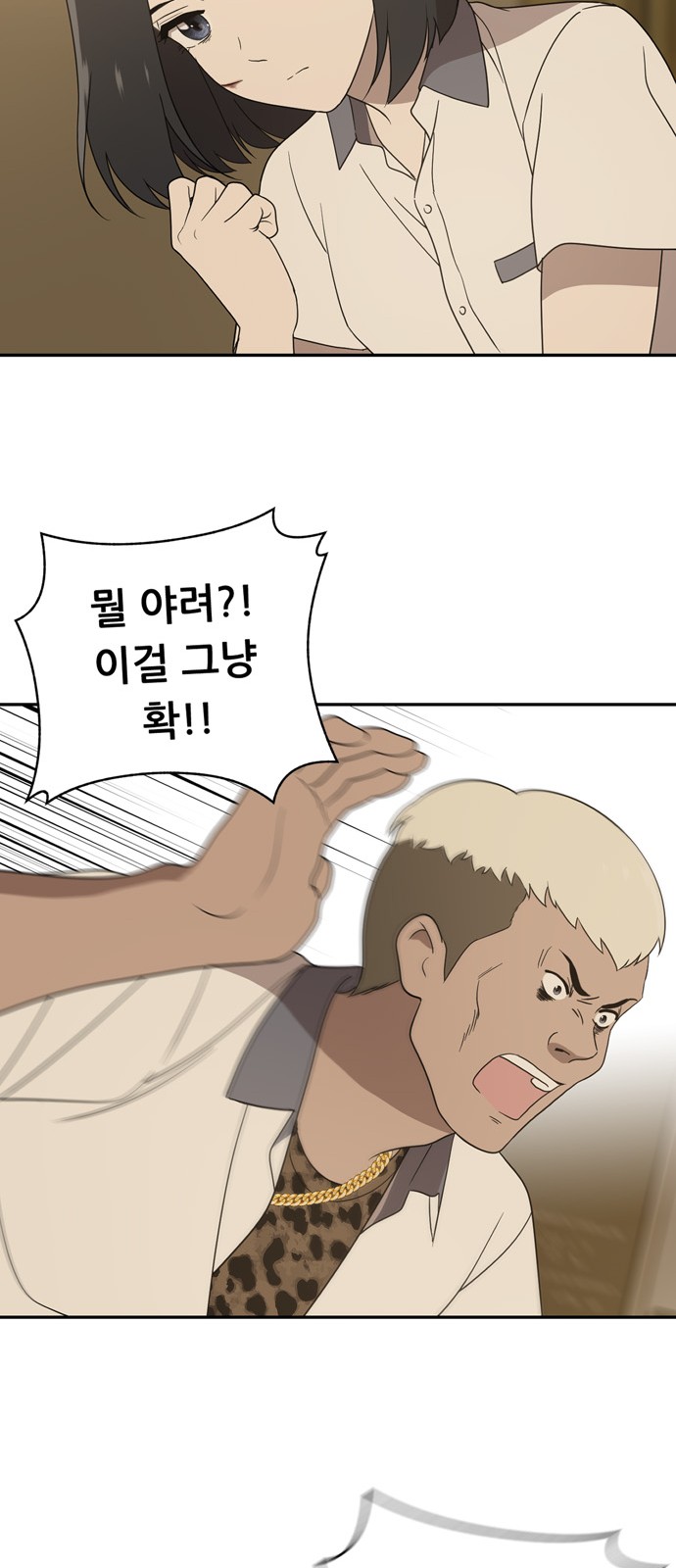 66 페이지