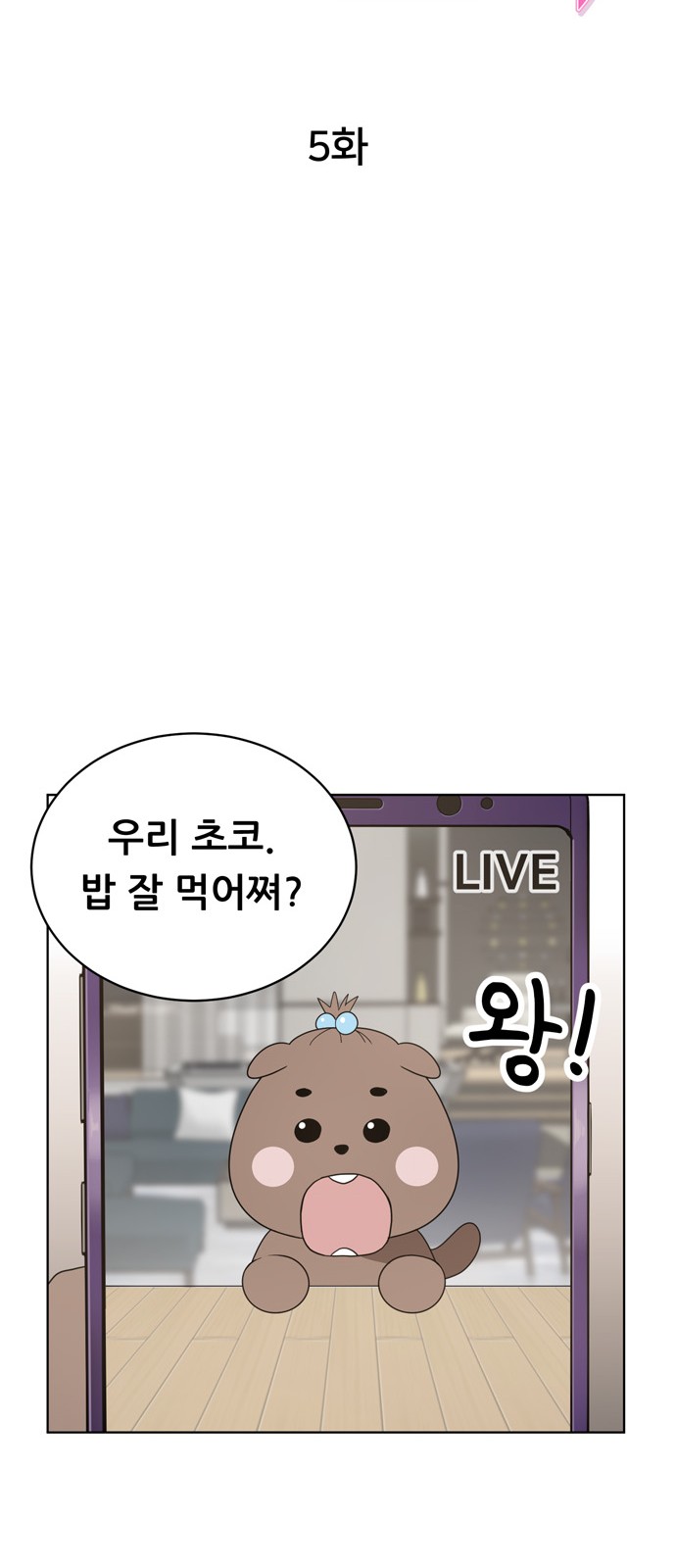 17 페이지