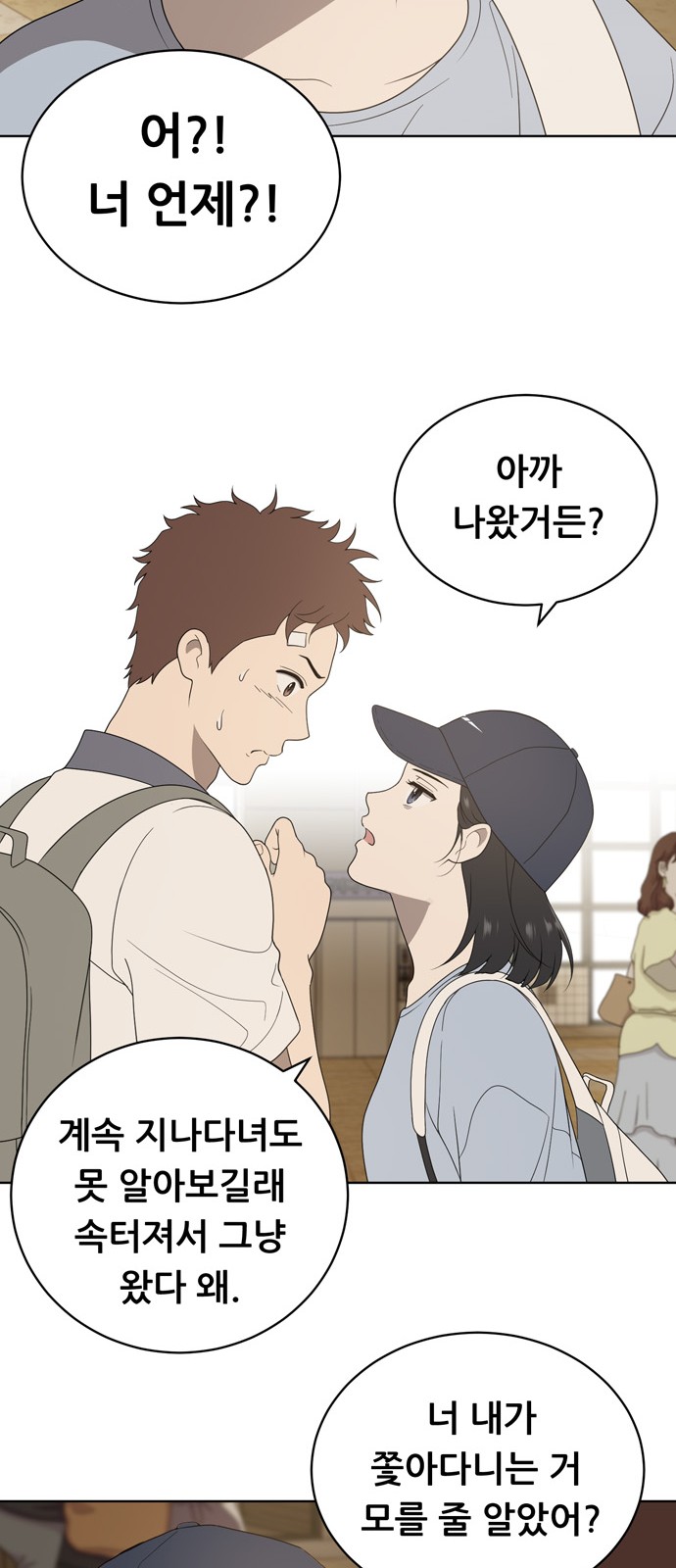 46 페이지