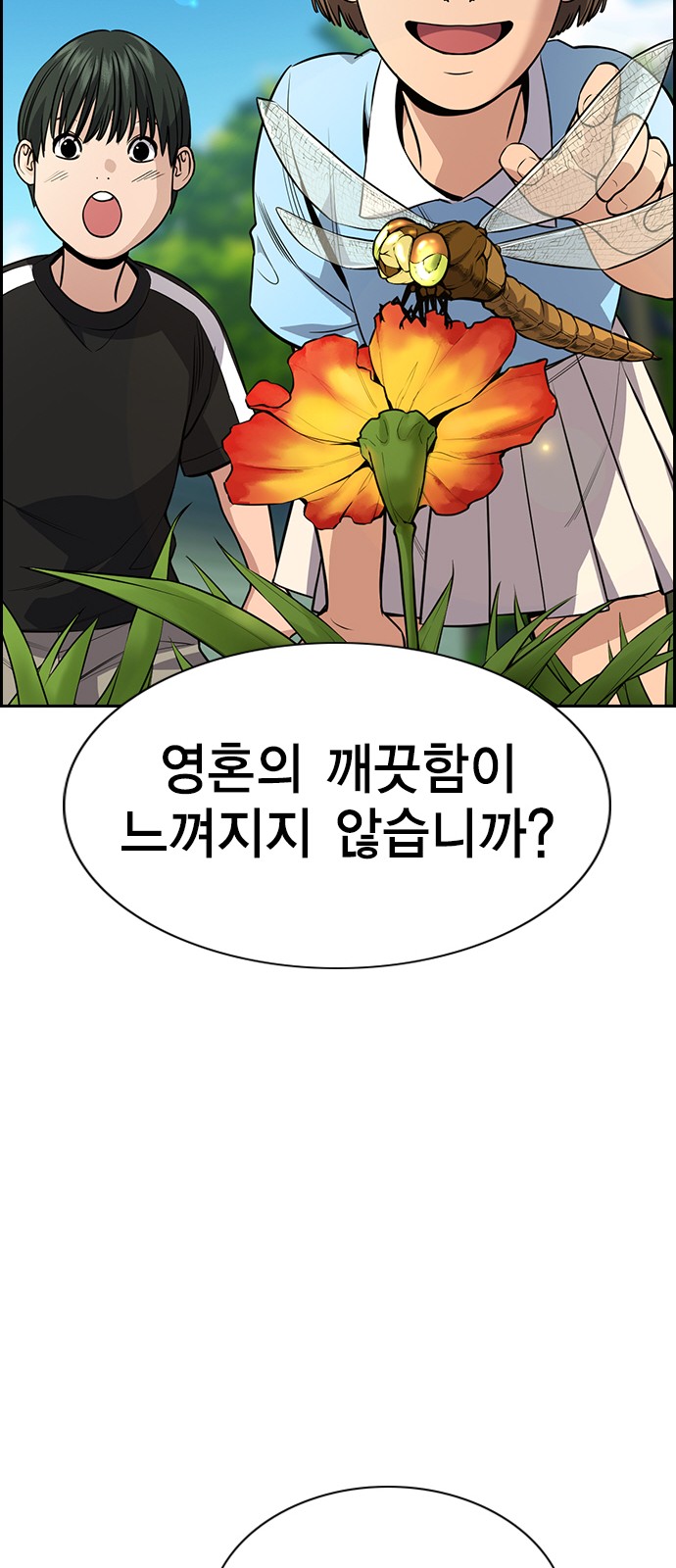 53 페이지