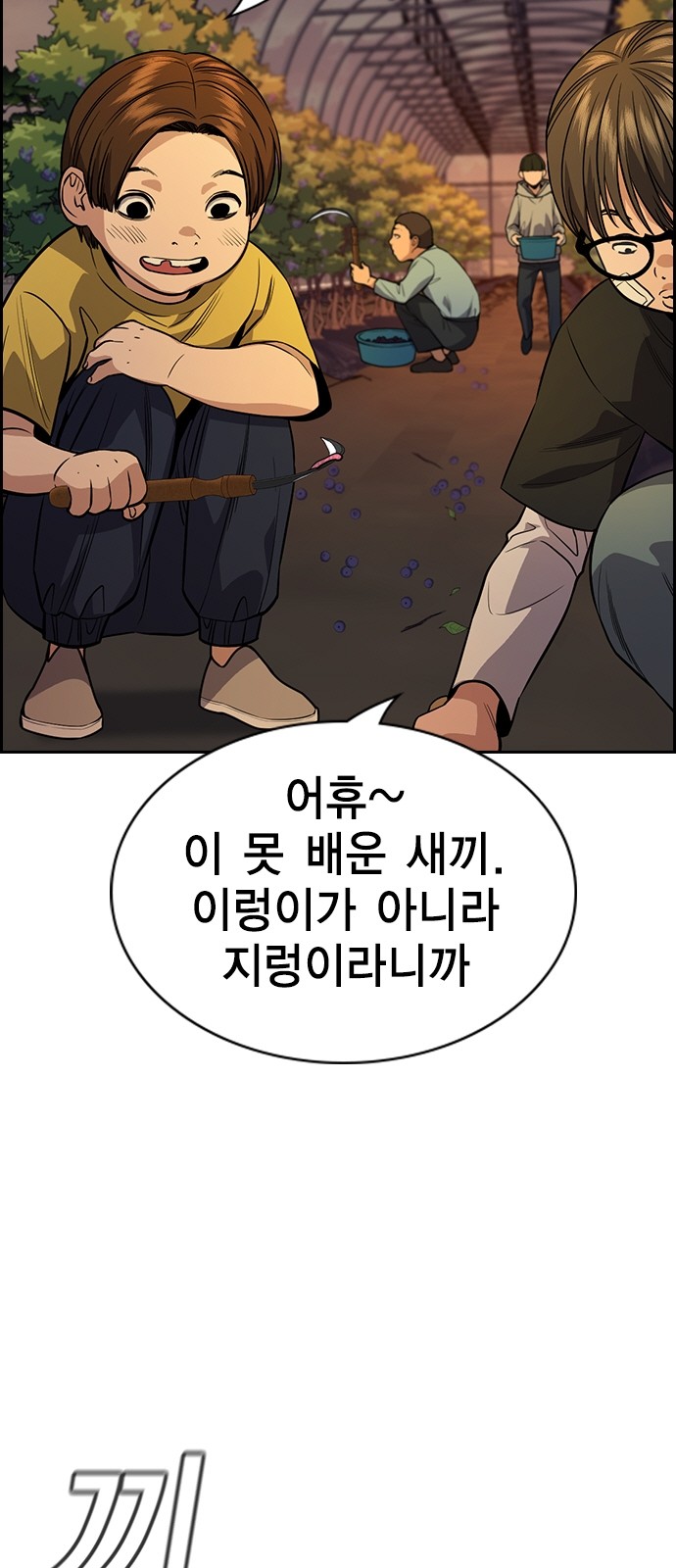 45 페이지