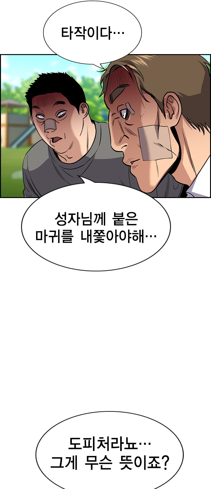 5 페이지