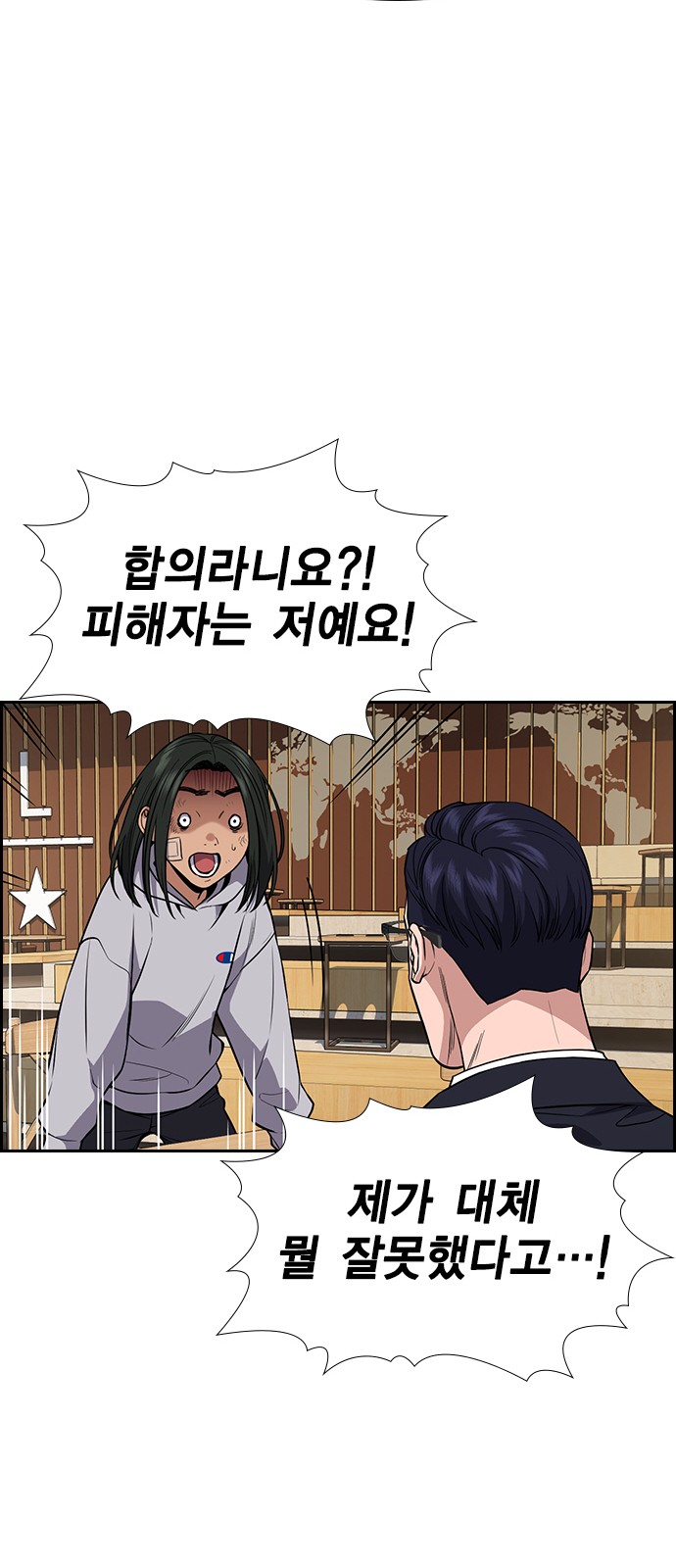 33 페이지