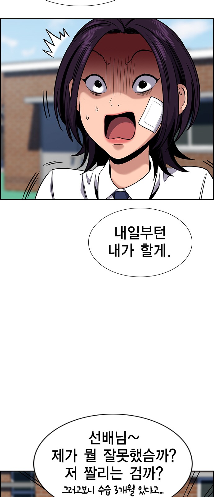 36 페이지