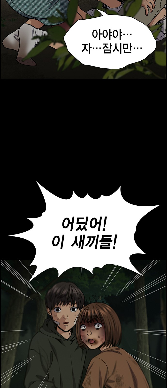 43 페이지