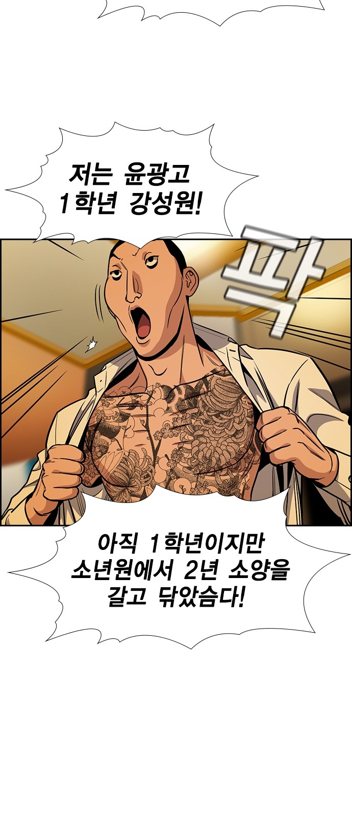 30 페이지
