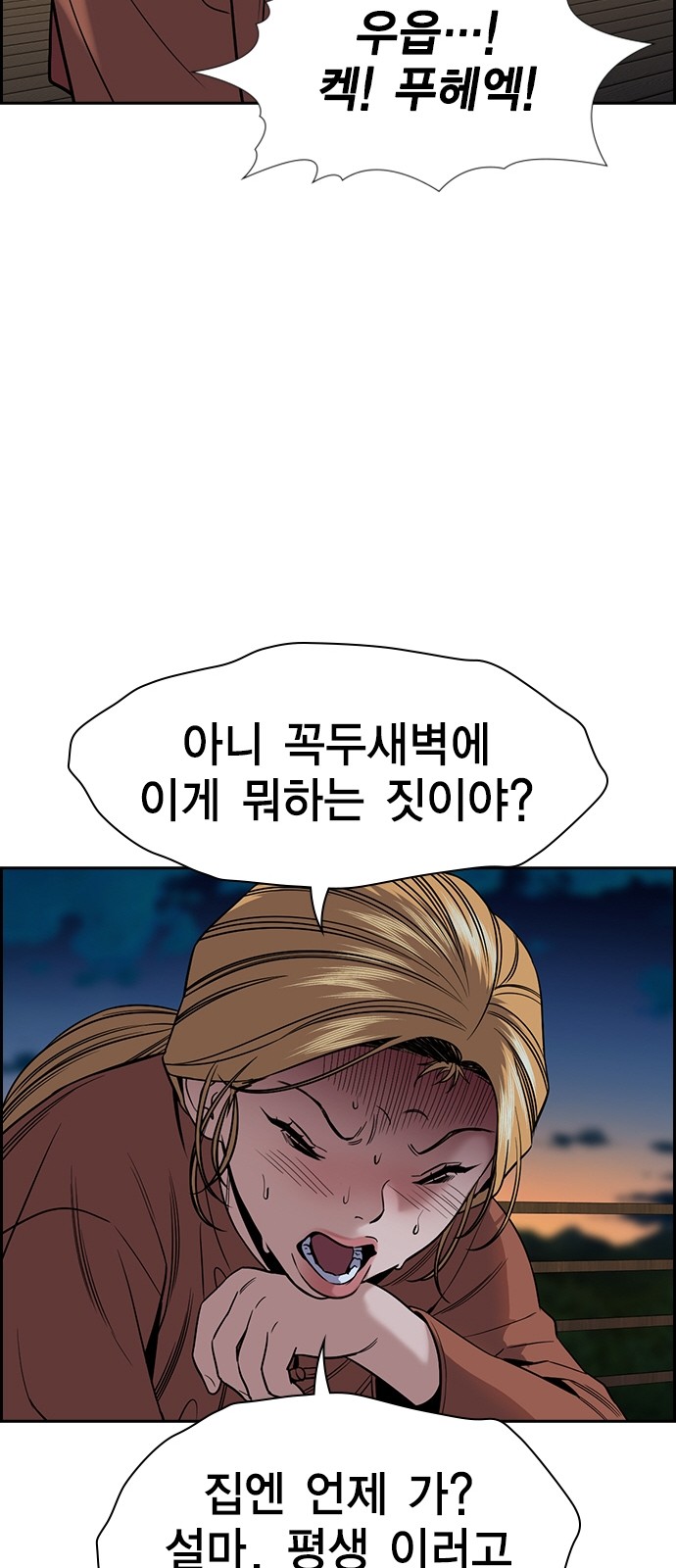 33 페이지