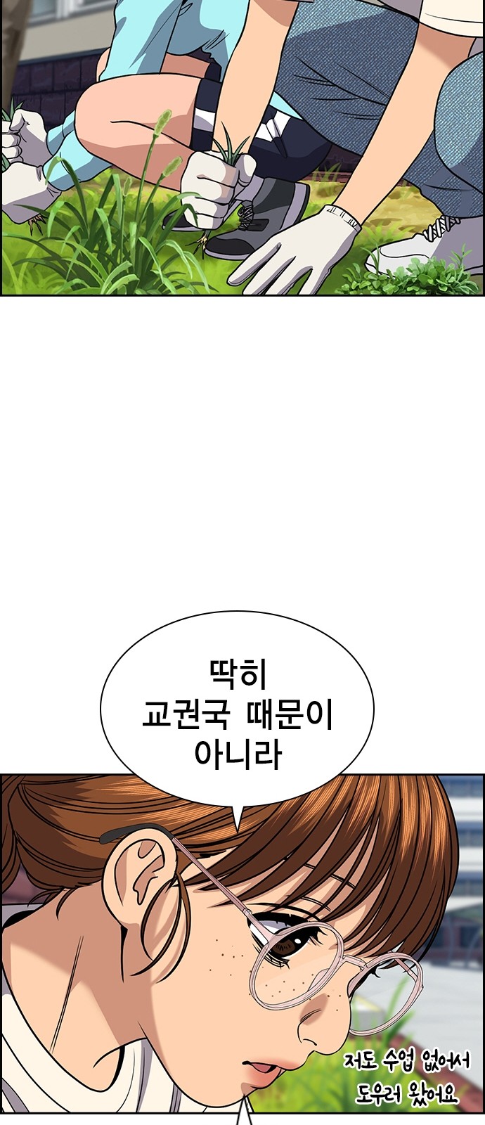 43 페이지