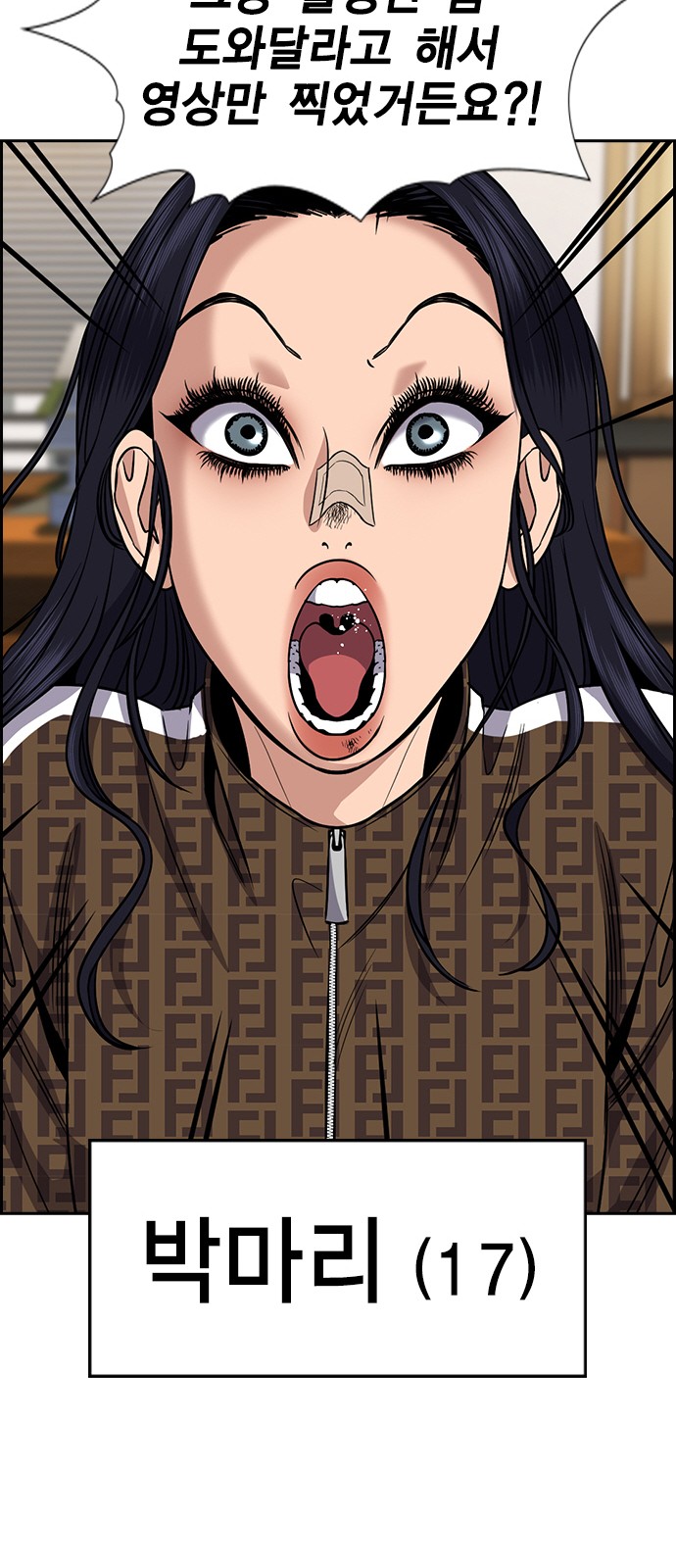 17 페이지