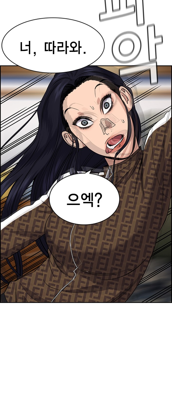 33 페이지