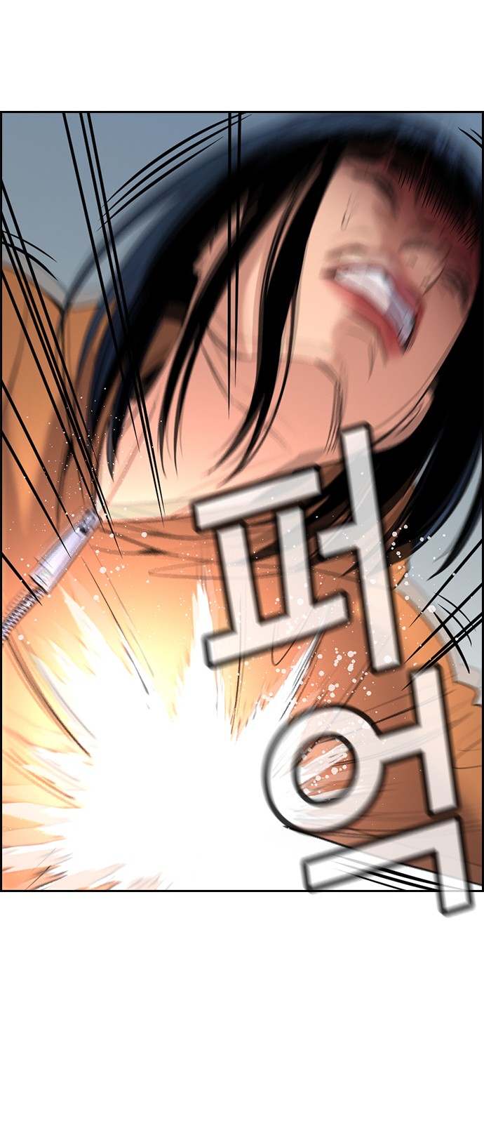 54 페이지