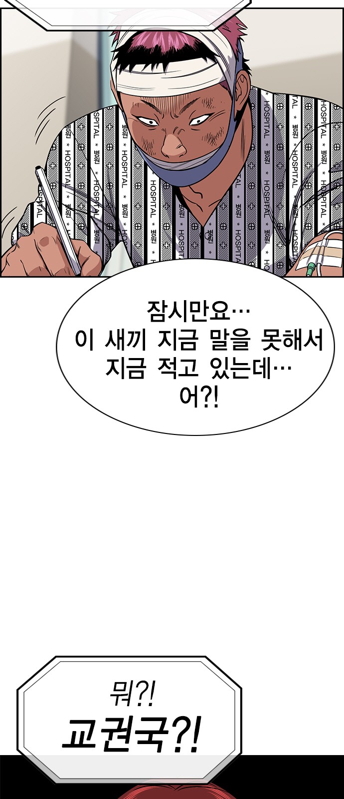 13 페이지