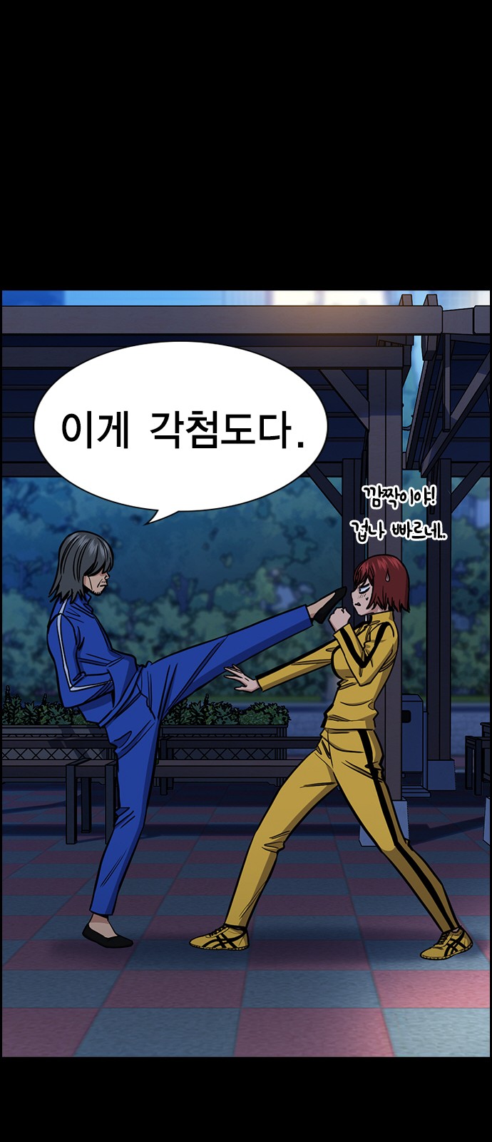 20 페이지