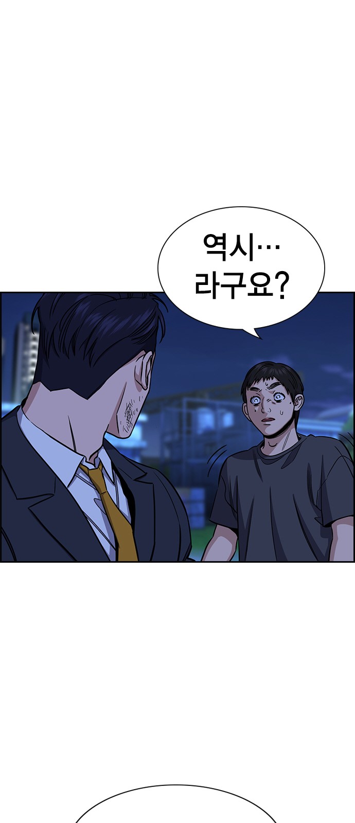 46 페이지