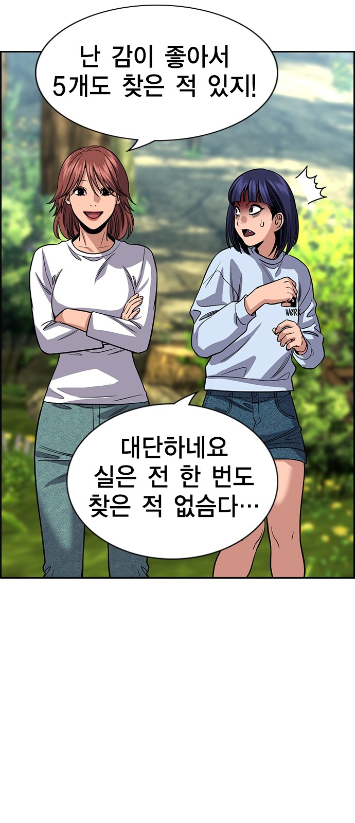 43 페이지