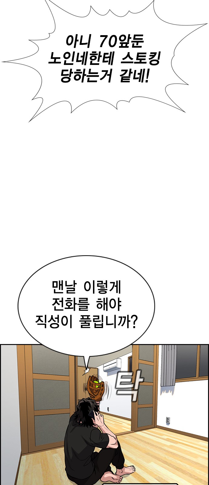 46 페이지
