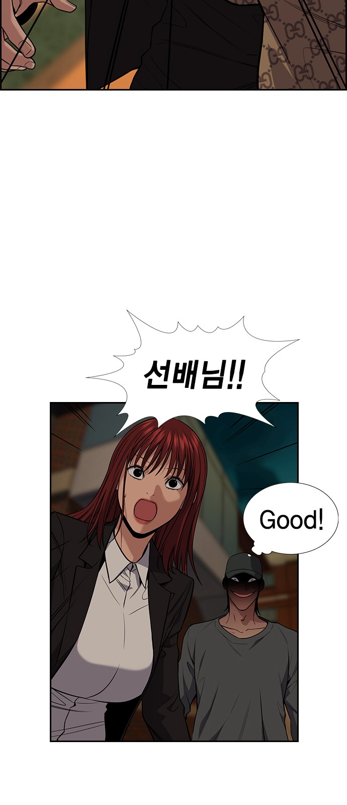 46 페이지